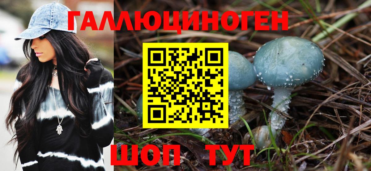 Ейск  Псилоцибиновые грибы Psilocybe  Вход с VPN  Псилоцибиновые грибы Psilocybine cubensis 